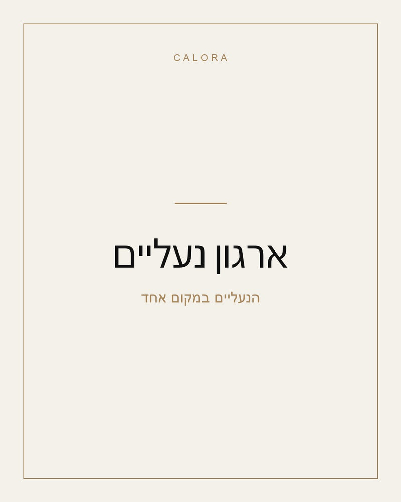 ארגון נעליים