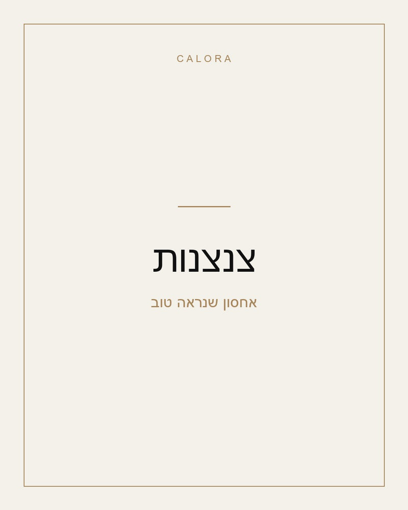 צנצנות