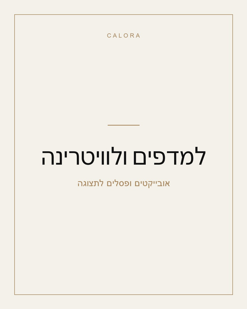 למדפים ולוויטרינה — פסלים ואובייקטי נוי לתצוגה | CALORA