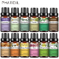 10ml שמנים אתריים לבנדר טהורים טבעיים למכשיר אדים ארומתרפיה