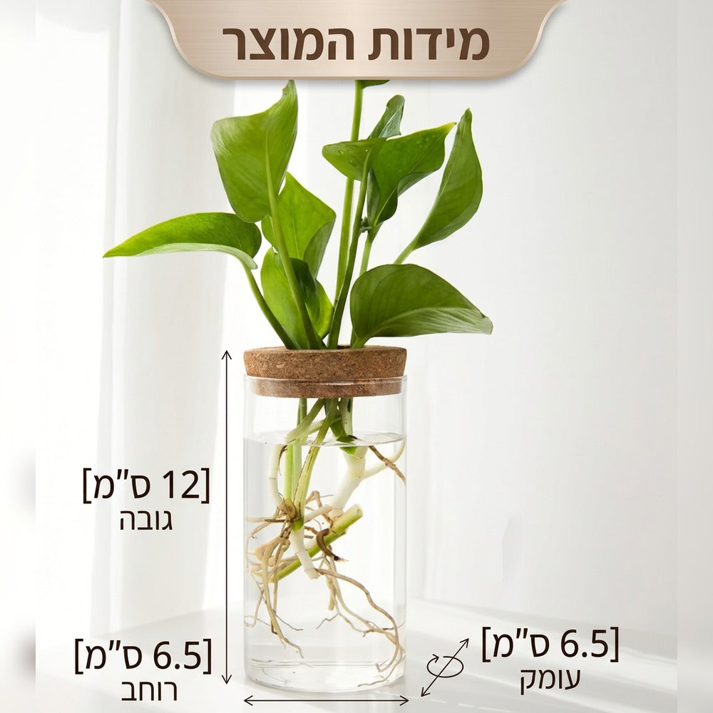 מידות אגרטל הזכוכית – גובה 12 ס"מ, רוחב 6.5 ס"מ ועומק 6.5 ס"מ